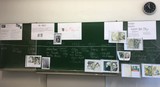 Zeittafel zur Biografie von Ida Maly (Foto: Isabel Mendoza und Selina Shirin Stritzel)